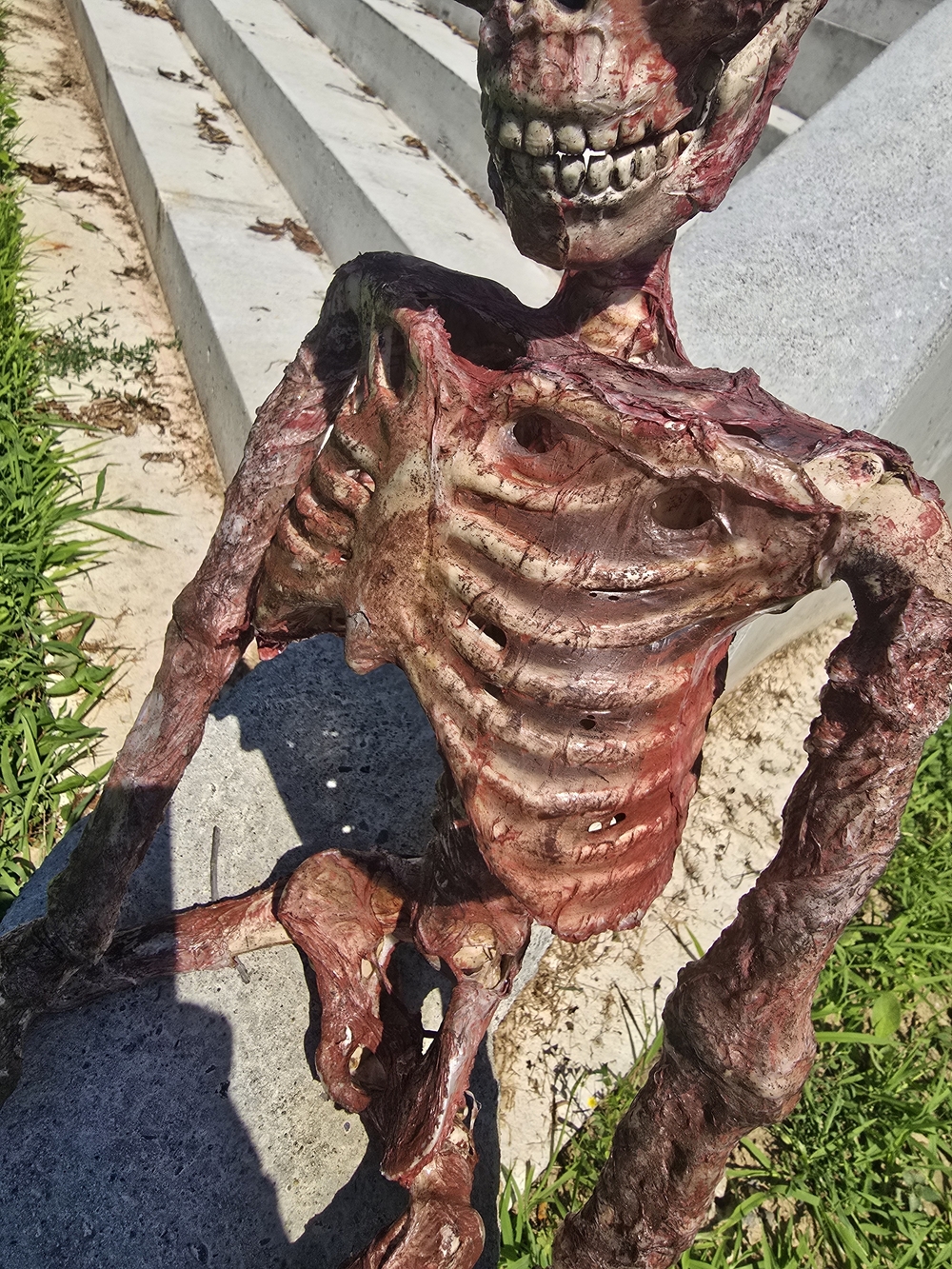 Skeleton Corpse Halloween Prop - Picture 4 of 7